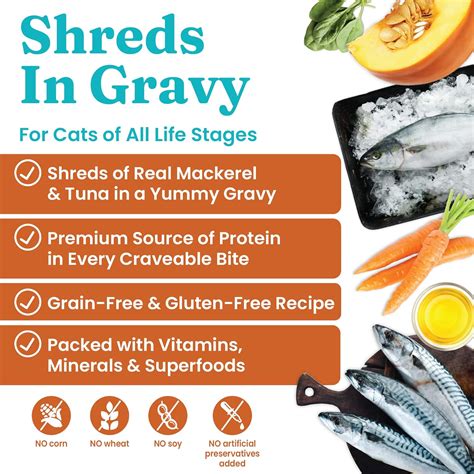 Buy Solid Gold Shreds in Gravy - Canned Wet Cat Food - Grain & Gluten ...
