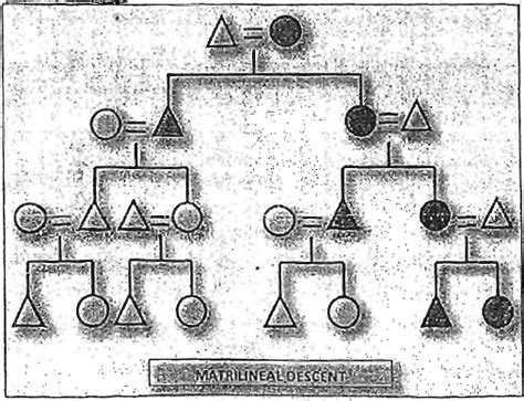 Principles and Types of Descent - Anthropology Optional for UPSC PDF ...