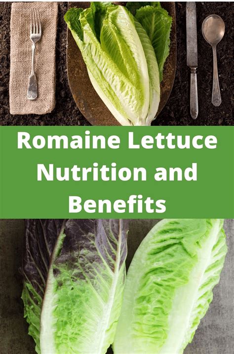 Romaine Lettuce Nutrition Facts at James Jain blog