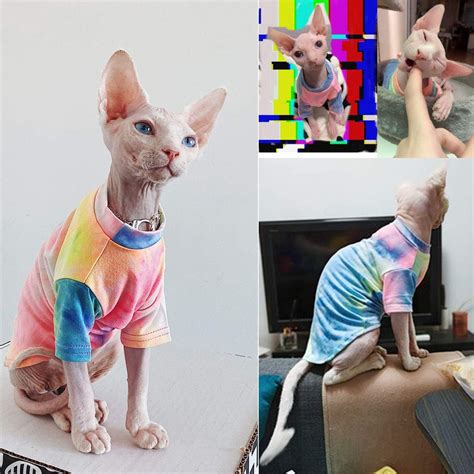 Buy Bonaweite Hairless Cats Rainbow Rendering T-Shirt for Spring Summer ...