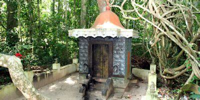 केरल में स्थित बेहद अद्भुत व अनोखा मंदिर, यहां है 30 हज़ार सर्प ...