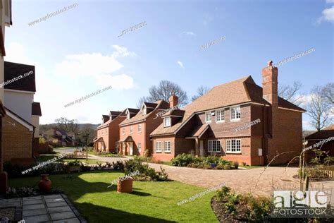 Estate of detached houses in West Sussex, England, Stock Photo, Picture ...