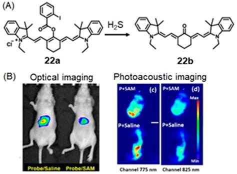 Dual-Mode Tumor Imaging Using Probes That Are Responsive to Hypoxia ...