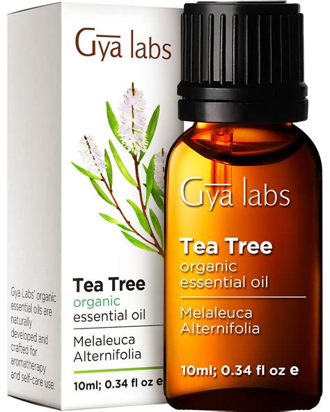 Gya Labs Organic Tea Tree Oil for Skin, Hair, Face, Toenails, Scalp & Piercings (0.34 fl oz ...