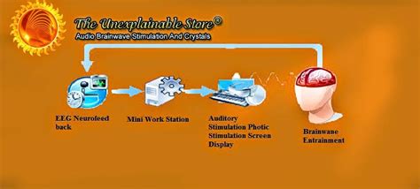 Image result for One Step Beyond Brainwave