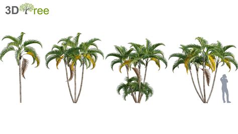 JavaScript Palm Tree Design 的图像结果