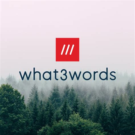 Image result for Metal Detecting Tips