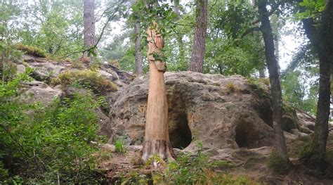 PLANETE MOBIL HOMES - CAMPING COLLINE DE RABAIS (Virton) - Lodge ...