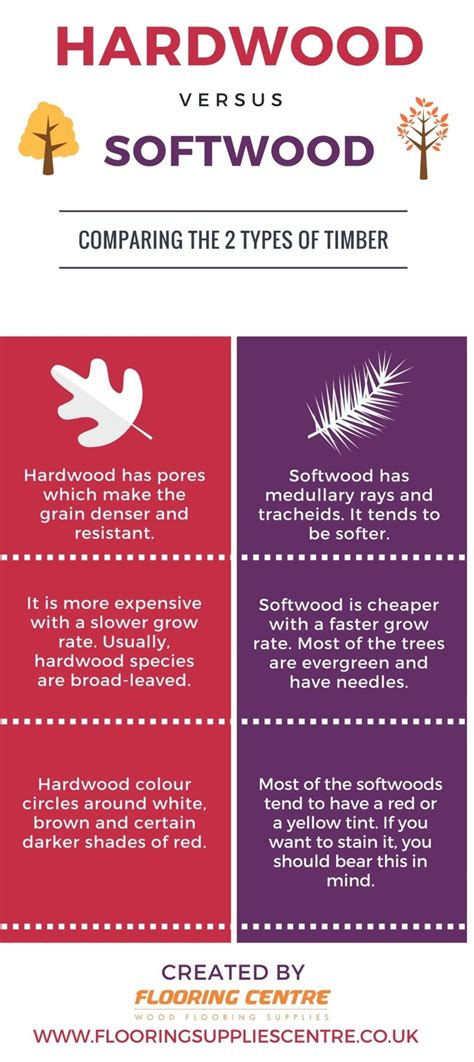 Hardwood vs Softwood: Understanding the Key Differences