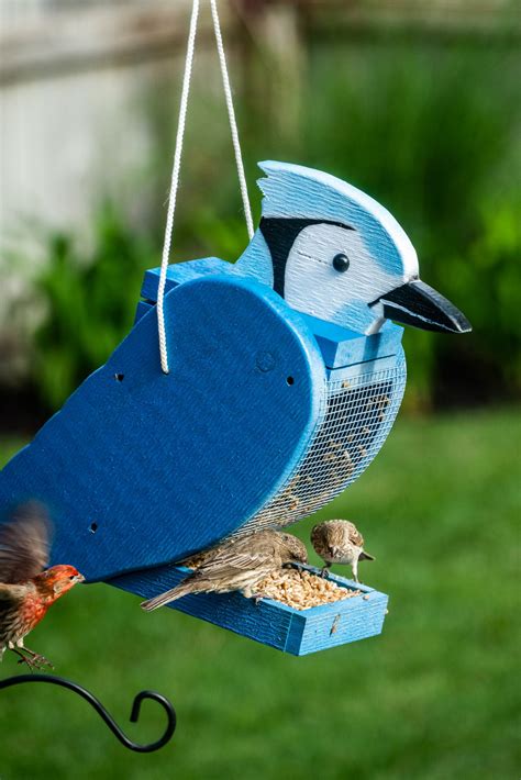 Unique Bird Feeders BIRD BUDDY® Original Smart Bird Feeder With