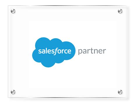 Web & Mobile App Dev | Salesforce & MuleSoft Partner | ERP, IT ...