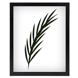 NAOKBOEE 12x15 Picture Frame in Black, Photo Frames with Plexiglass ...