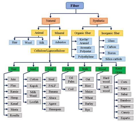 Developments in Chemical Treatments, Manufacturing Techniques and ...
