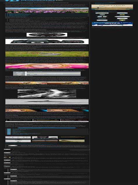 Image result for Camera Tutorials for Beginners