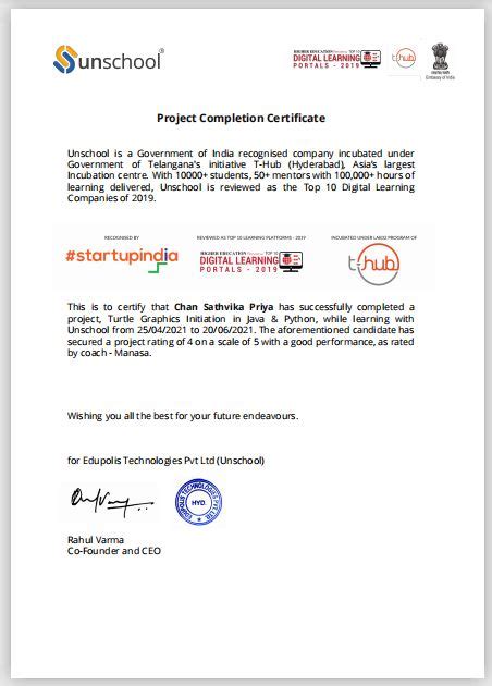 Image result for Turtle Graphics for Java