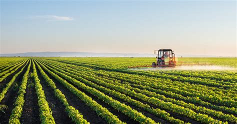 Top 10+ Best Agriculture Companies in Saudi Arabia