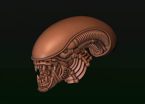 Image result for Alien Xenomorph Head