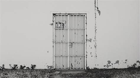 PhD in Kinesiology Salary - What You Can Get Paid