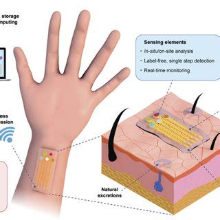 Wearable Sensor 的图像结果