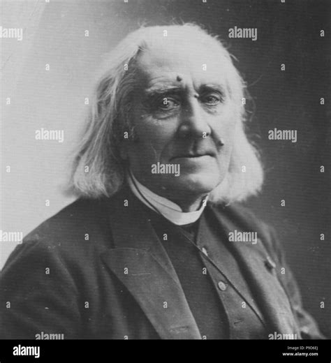 Portrait of the Composer Franz Liszt (1811-1886). Museum: PRIVATE ...