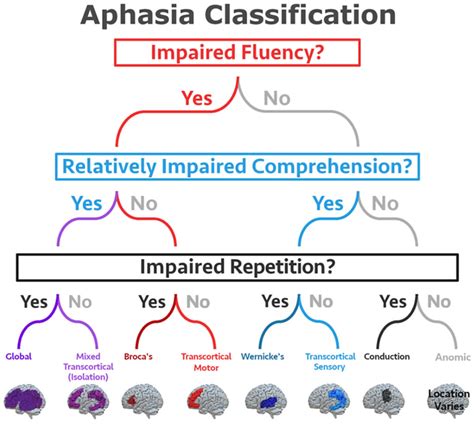 Aphasia Algorithm 的图像结果