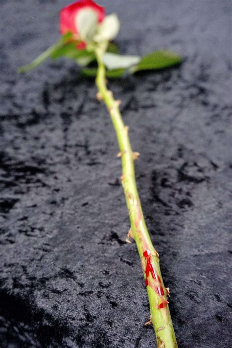 Image result for Secret Mirror. View