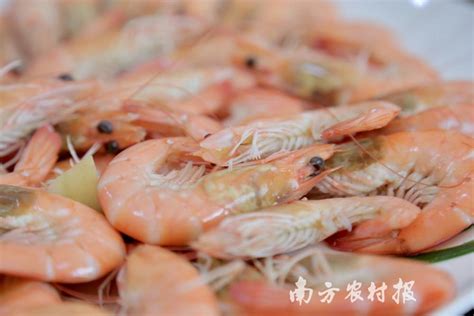 鱼虾摄影图__传统美食_餐饮美食_摄影图库_昵图网nipic.com
