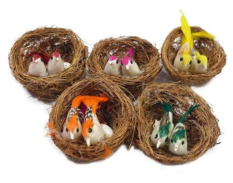 Asian Hobby Crafts Artificial Birds with Nest Pack of 5, DIY Birds with ...
