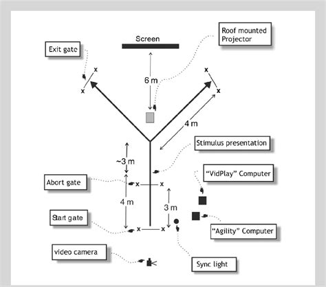 Image result for NBA Reactive Shuttle Test