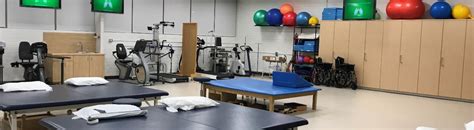 Physical Therapy | California State University Long Beach