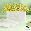 Satpurush Sprout Maker – Three-Layer Sprout Growing Kit (White ...
