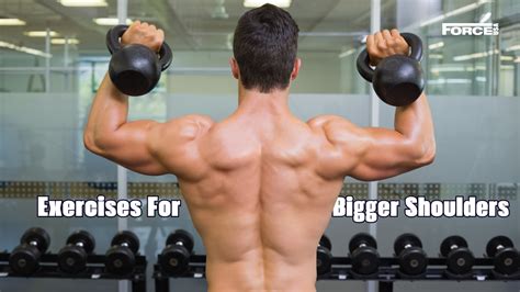 5 Best Exercises for Bigger Shoulders