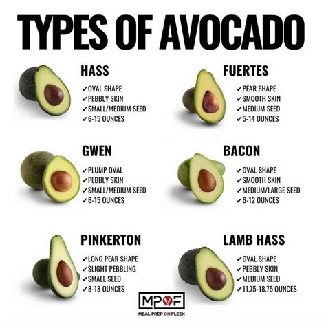 How Many Kcal In 1 Avocado at Milla Gadsdon blog