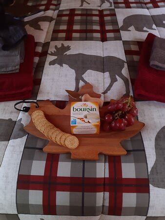 Winterdance Dogsled Tours (Haliburton) - 2021 What to Know Before You ...