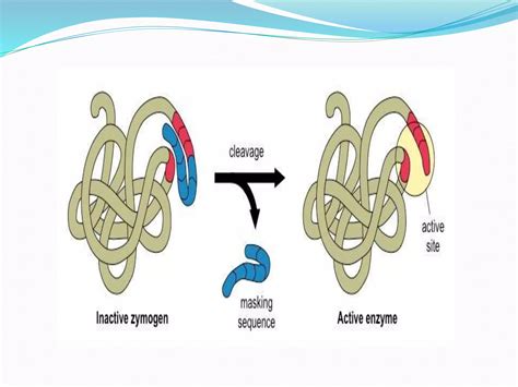Post-Translational DNA Modification 的图像结果