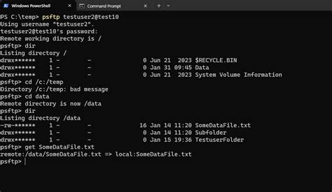 OpenSSH SFTP 的图像结果