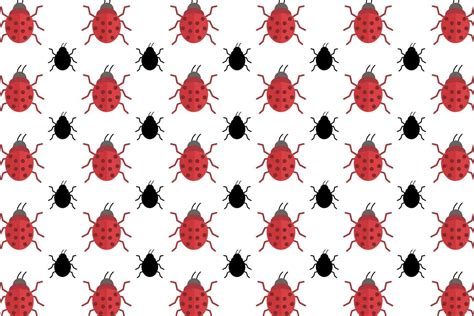 Image result for Bug Pattern