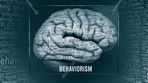 Image result for Behaviorism Psychology Example