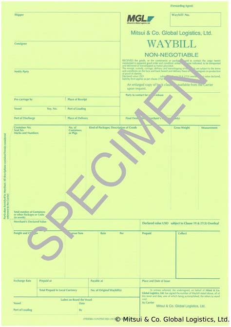 Image result for Alien Number On Work Authorization Card