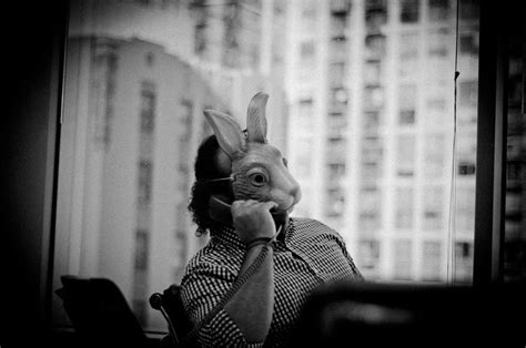 Find Employment 的图像结果