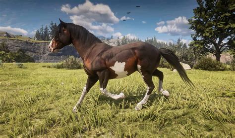 RDR2 Horse Texture ytd Resource Guide - Red Dead Redemption 2 Mod