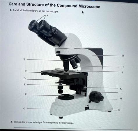Image result for Compound Microscope Blank Labels