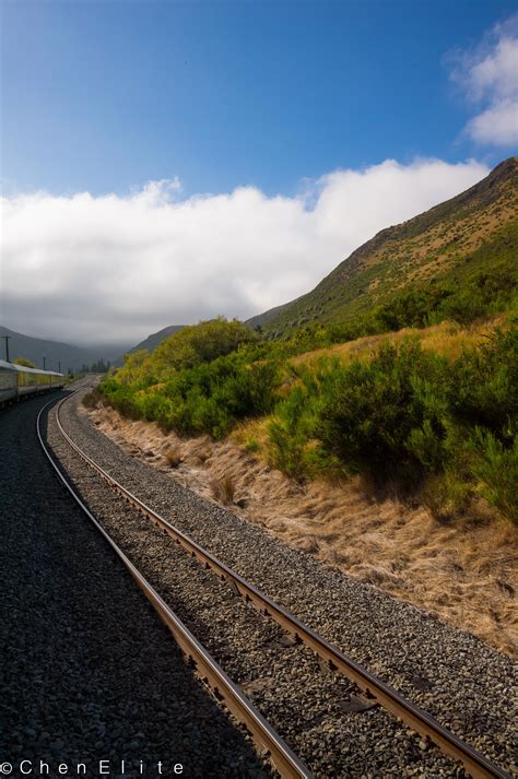 Image result for Springfield NZ