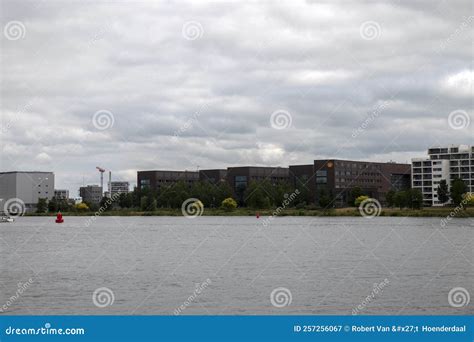 Image result for Shell Netherlands