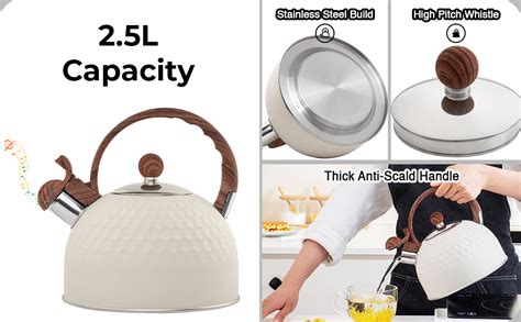 Supvox® 2.5L Tea Kettle for Gas Stove and Induction Boiling Water Tea ...