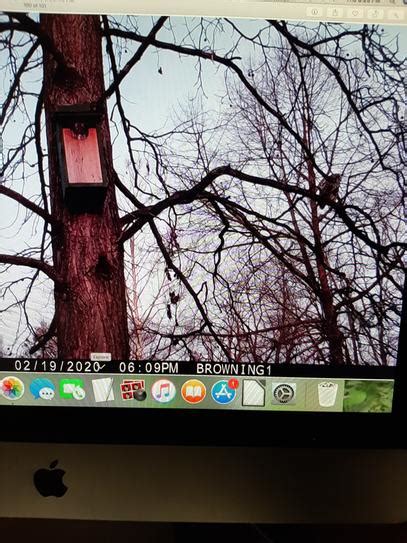 Image result for Video Camera Stick