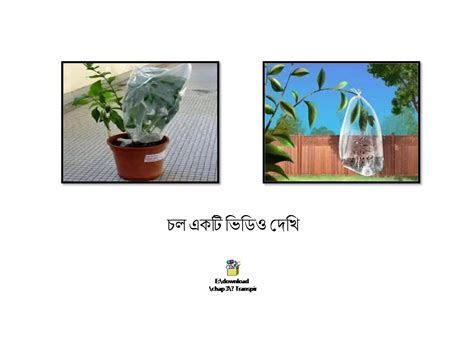 Image result for Basic Science State Class 8 Textbook Part 3