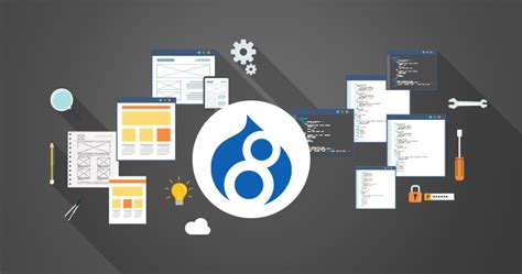 Drupal Theme Developer 的图像结果