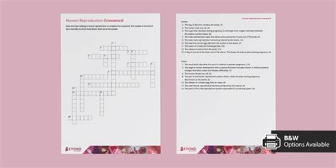 KS3 Human Reproduction Crossword (teacher made)