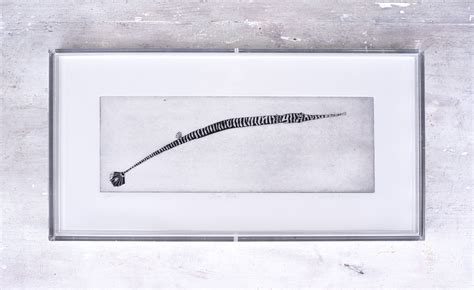 Submarines&Periscopes | Alice Zanin